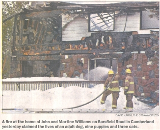 Williams Fire - Firefighters mop up after controling the blaze.